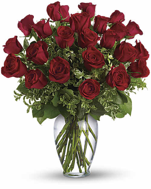 ALWAYS ON MY MIND LONG STEMMED RED ROSES – All seasons in bloom